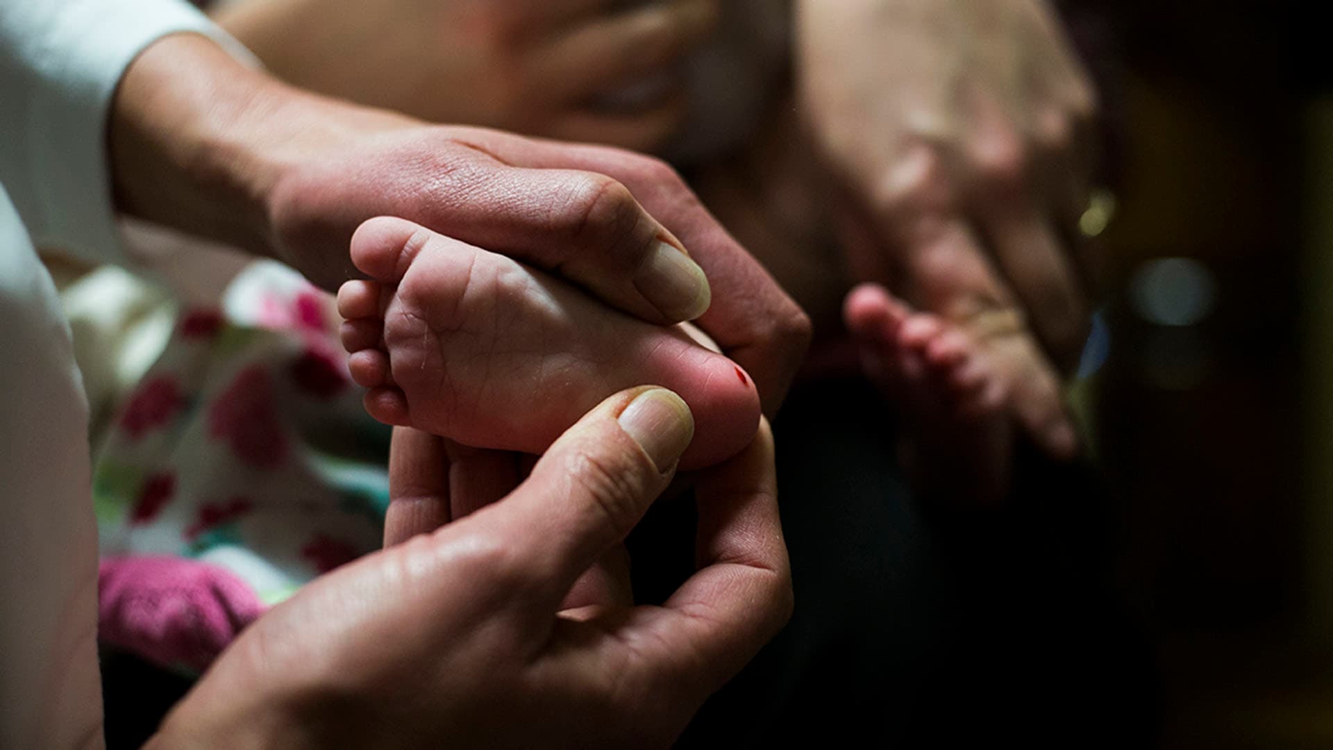 Blood lead level testing